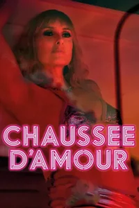  Кошечки Сильвии 